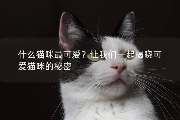 什么貓咪最可愛？讓我們一起揭曉可愛貓咪的秘密