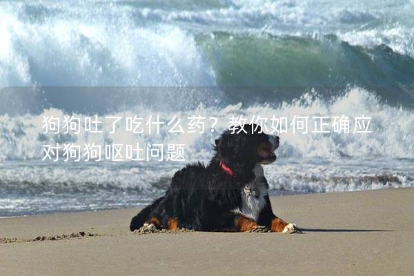 狗狗吐了吃什么藥？教你如何正確應(yīng)對(duì)狗狗嘔吐問(wèn)題