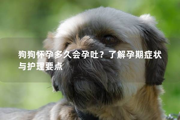 狗狗懷孕多久會孕吐？了解孕期癥狀與護理要點