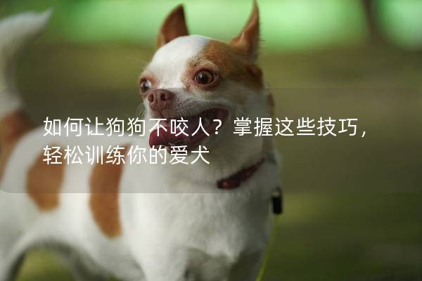如何讓狗狗不咬人？掌握這些技巧，輕松訓練你的愛犬