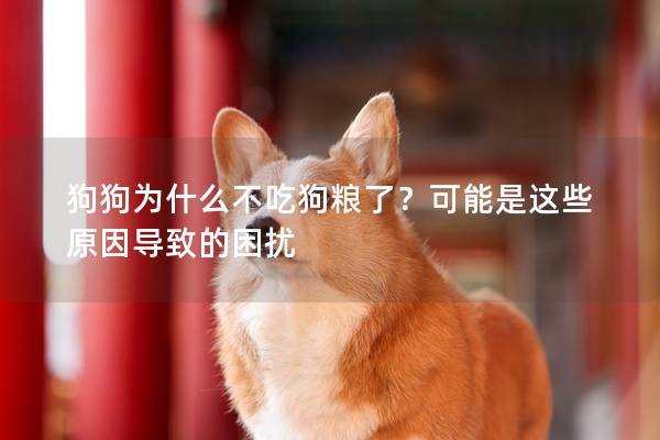 狗狗為什么不吃狗糧了？可能是這些原因導致的困擾
