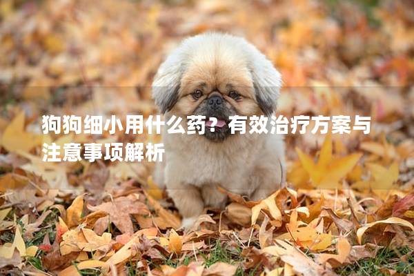 狗狗細小用什么藥？有效治療方案與注意事項解析