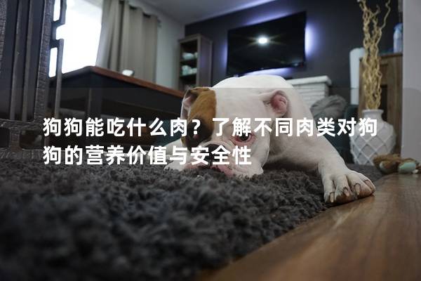 狗狗能吃什么肉？了解不同肉類對狗狗的營養價值與安全性