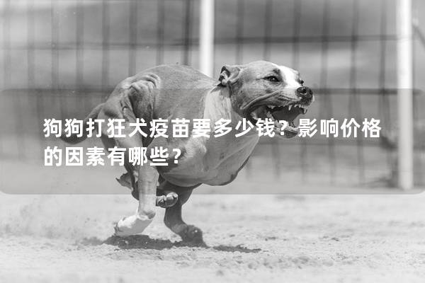 狗狗打狂犬疫苗要多少錢？影響價格的因素有哪些？