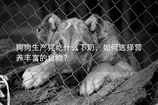 狗狗生產(chǎn)完吃什么下奶，如何選擇營(yíng)養(yǎng)豐富的食物？