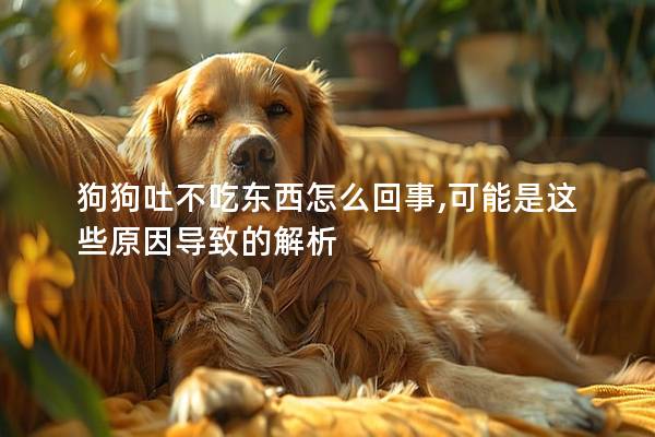 狗狗吐不吃東西怎么回事,可能是這些原因導致的解析