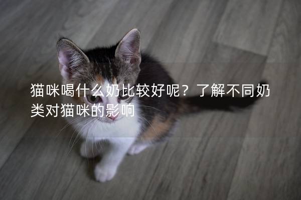 貓咪喝什么奶比較好呢？了解不同奶類對貓咪的影響