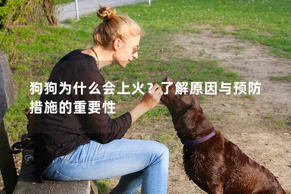 狗狗為什么會上火？了解原因與預防措施的重要性