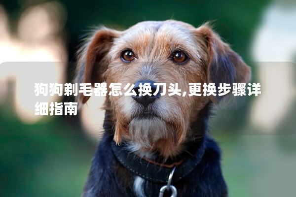狗狗剃毛器怎么換刀頭,更換步驟詳細指南 狗狗剃毛器怎么換刀頭,更換步驟詳細指南
