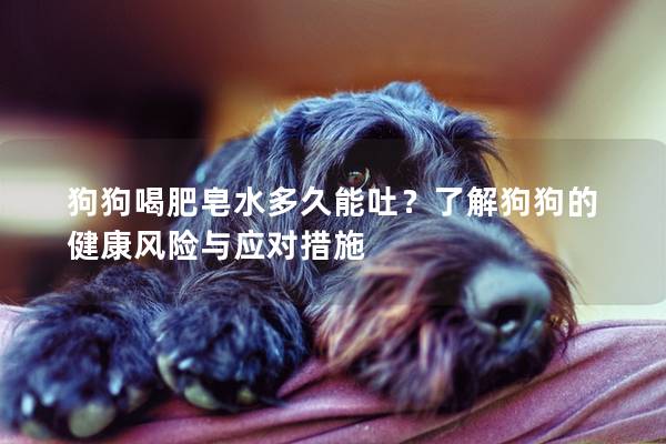 狗狗喝肥皂水多久能吐？了解狗狗的健康風(fēng)險(xiǎn)與應(yīng)對(duì)措施