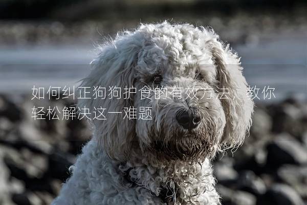 如何糾正狗狗護食的有效方法，教你輕松解決這一難題