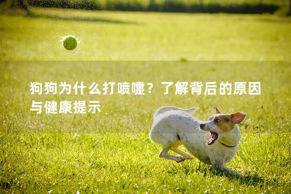 狗狗為什么打噴嚏？了解背后的原因與健康提示