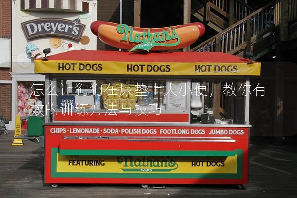 怎么讓狗狗在尿墊上大小便，教你有效的訓練方法與技巧