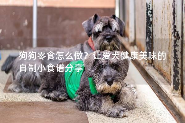 狗狗零食怎么做?讓愛(ài)犬健康美味的自制小食譜分享 狗狗零食怎么做?讓愛(ài)犬健康美味的自制小食譜分享