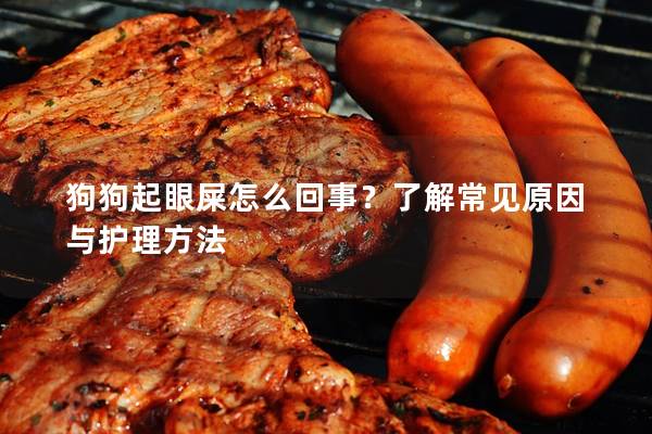 狗狗起眼屎怎么回事？了解常見原因與護理方法