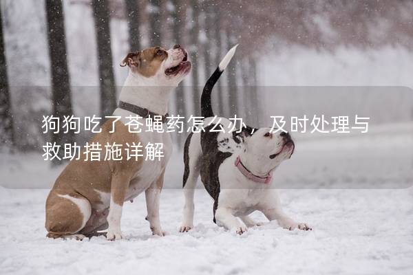 狗狗吃了蒼蠅藥怎么辦，及時處理與救助措施詳解