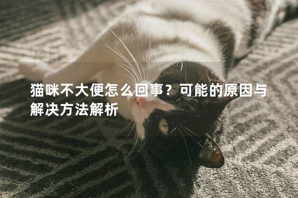 貓咪不大便怎么回事？可能的原因與解決方法解析