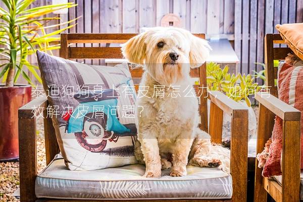 泰迪狗狗身上有皮屑怎么辦，如何有效解決皮屑問題？