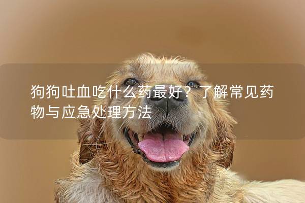 狗狗吐血吃什么藥最好？了解常見藥物與應急處理方法