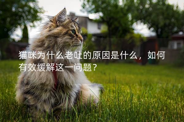 貓咪為什么老吐的原因是什么,如何有效緩解這一問題?