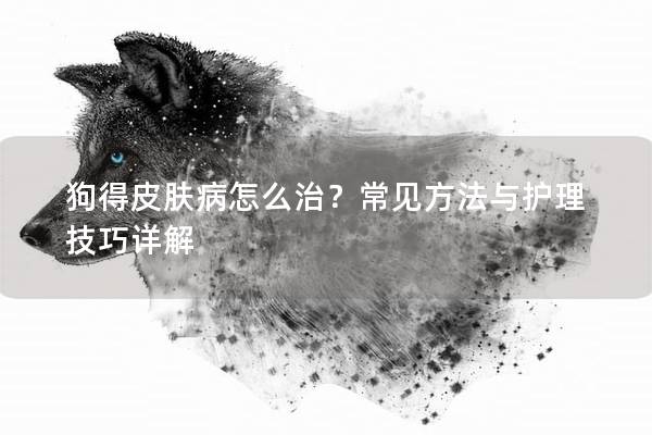 狗得皮膚病怎么治？常見方法與護(hù)理技巧詳解