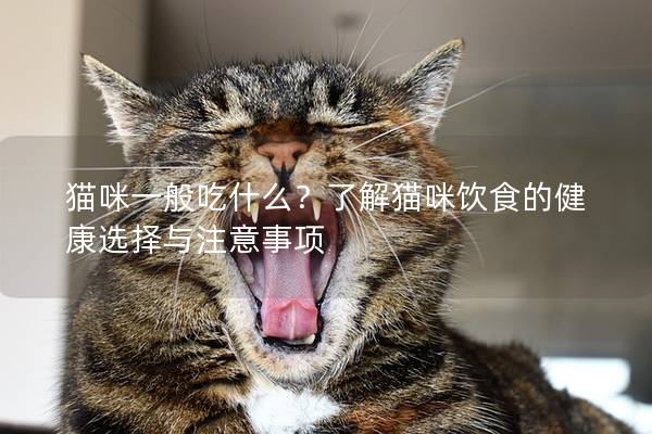貓咪一般吃什么？了解貓咪飲食的健康選擇與注意事項(xiàng)