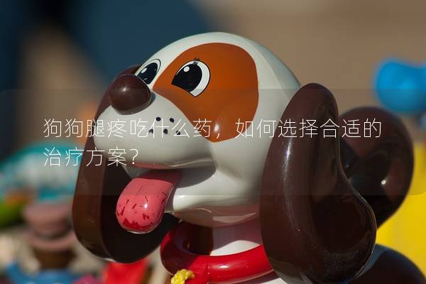 狗狗腿疼吃什么藥，如何選擇合適的治療方案？