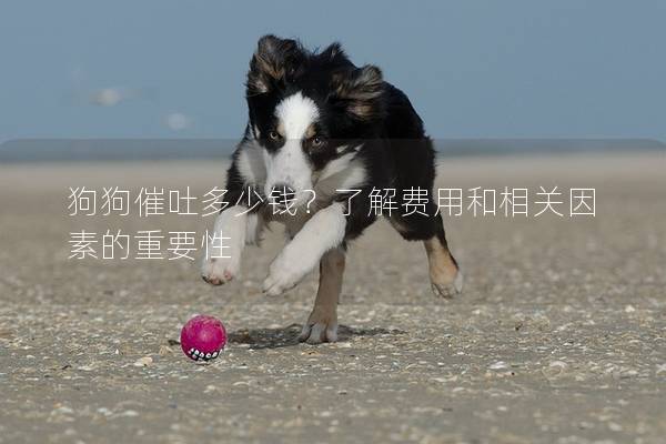 狗狗催吐多少錢？了解費(fèi)用和相關(guān)因素的重要性