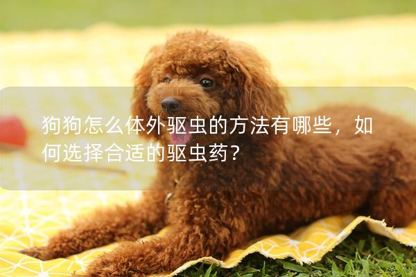 狗狗怎么體外驅蟲的方法有哪些，如何選擇合適的驅蟲藥？