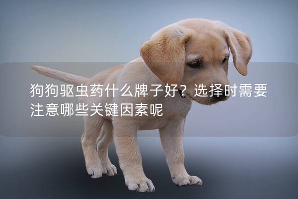 狗狗驅(qū)蟲藥什么牌子好?選擇時需要注意哪些關(guān)鍵因素呢 狗狗驅(qū)蟲藥什么牌子好?選擇時需要注意哪些關(guān)鍵因素呢