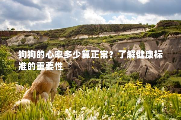 狗狗的心率多少算正常？了解健康標準的重要性