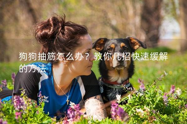 狗狗抽筋怎么辦？教你幾招快速緩解的方法