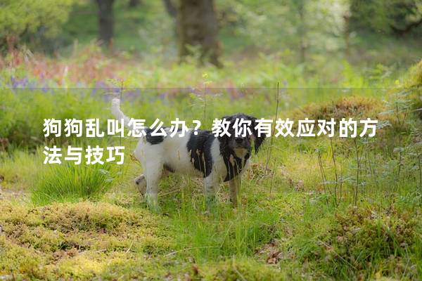 狗狗亂叫怎么辦？教你有效應對的方法與技巧
