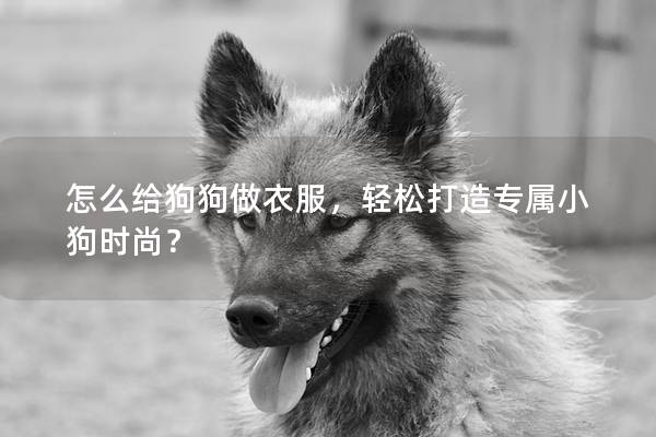 怎么給狗狗做衣服，輕松打造專屬小狗時尚？