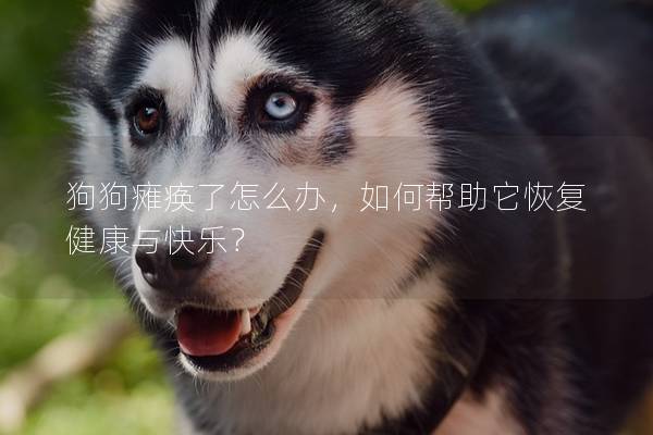 狗狗癱瘓了怎么辦，如何幫助它恢復(fù)健康與快樂(lè)？