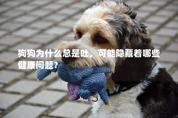 狗狗為什么總是吐，可能隱藏著哪些健康問題？