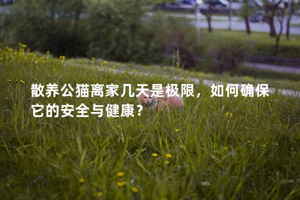 散養公貓離家幾天是極限，如何確保它的安全與健康？