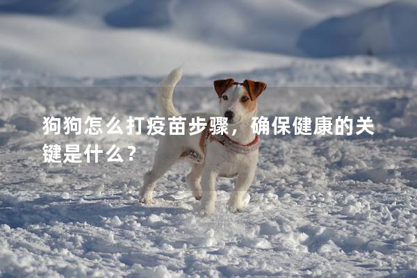 狗狗怎么打疫苗步驟，確保健康的關鍵是什么？