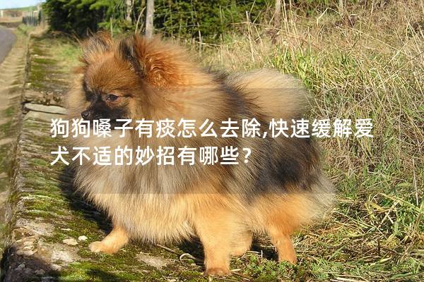 狗狗嗓子有痰怎么去除,快速緩解愛犬不適的妙招有哪些？