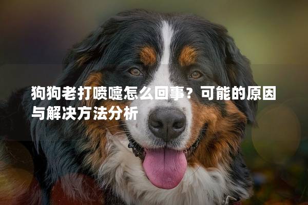 狗狗老打噴嚏怎么回事？可能的原因與解決方法分析