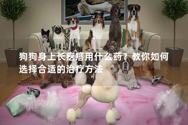 狗狗身上長疙瘩用什么藥？教你如何選擇合適的治療方法