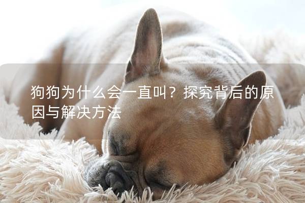狗狗為什么會一直叫？探究背后的原因與解決方法