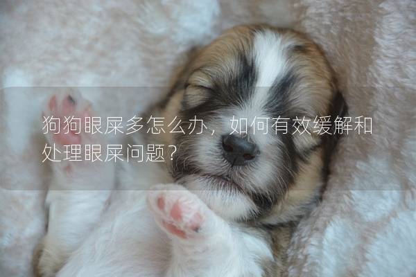 狗狗眼屎多怎么辦，如何有效緩解和處理眼屎問題？