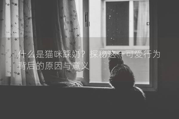 什么是貓咪踩奶?探秘這一可愛行為背后的原因與意義 什么是貓咪踩奶?探秘這一可愛行為背后的原因與意義