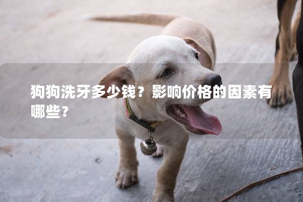 狗狗洗牙多少錢？影響價(jià)格的因素有哪些？