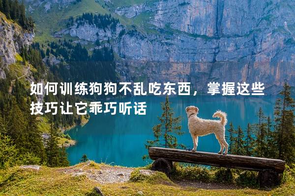 如何訓練狗狗不亂吃東西，掌握這些技巧讓它乖巧聽話