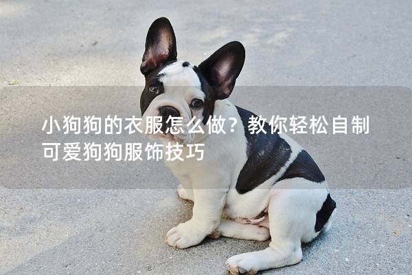 小狗狗的衣服怎么做？教你輕松自制可愛狗狗服飾技巧