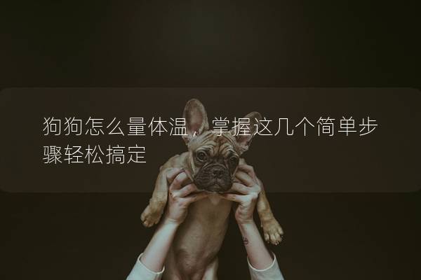 狗狗怎么量體溫，掌握這幾個簡單步驟輕松搞定