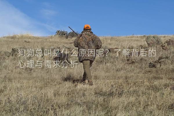 狗狗總叫是什么原因呢？了解背后的心理與需求分析