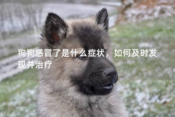 狗狗感冒了是什么癥狀,如何及時(shí)發(fā)現(xiàn)并治療 狗狗感冒了是什么癥狀,如何及時(shí)發(fā)現(xiàn)并治療